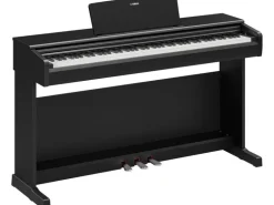 Yamaha E-Piano Arius YDP-146B