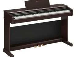 Yamaha E-Piano Arius YDP-146R