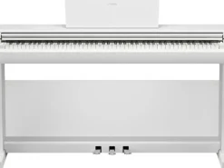 Yamaha E-Piano Arius YDP-146WH